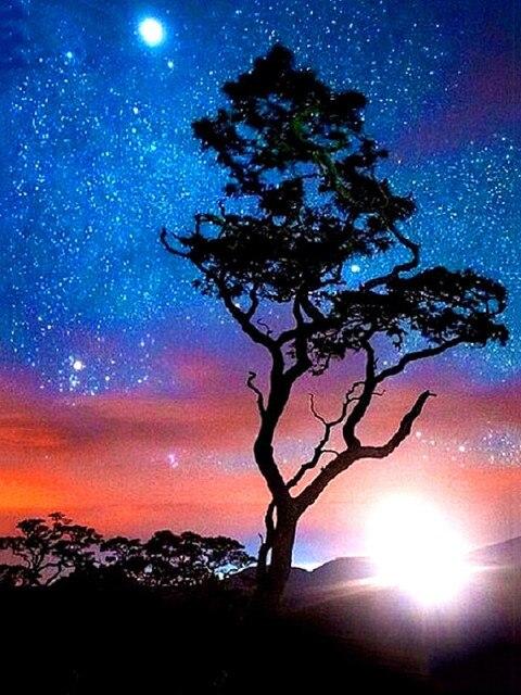 

Алмазная картина, цветочный стул, полная квадратная/круглая картина со стразами, Алмазная вышивка, вышивка крестом, сделай сам, домашний декор Full Square 20X30CM светло-синий