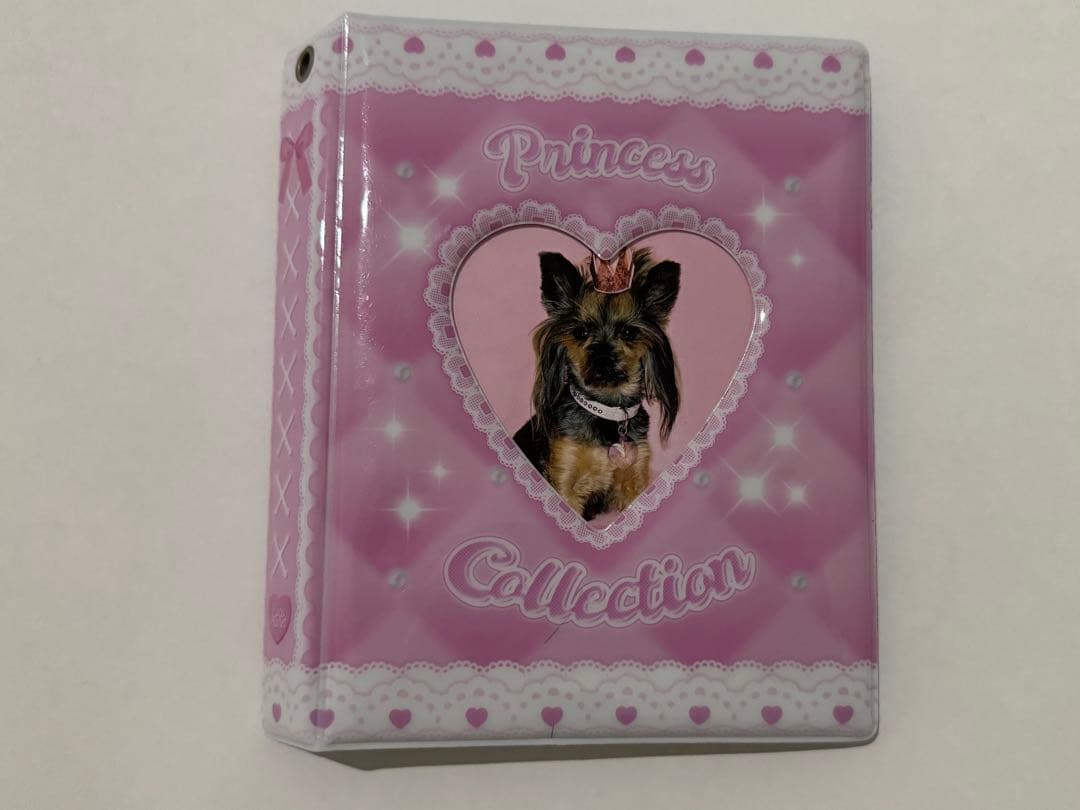 

[USED] Korean Artist Collectible Book Trading Card Holder