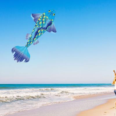 Cartoon Koi Kite Beach Kites Birthday Gifts Flying Portable Fish Large for Adults