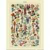 Adolphe Millot Flowers Print