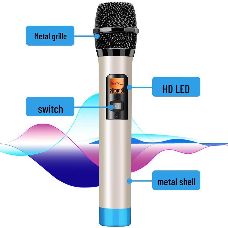 Soaiy SA-T25 Portable Outdoor KTV Speaker with Dual Microphones
