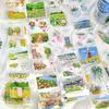 5cm×300cm Tape Only the Flowers Know Series Artistic Floral Landscape Hand Account DIY Materials