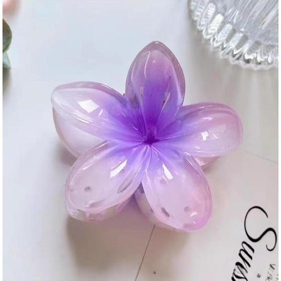2/4/6 peças Moda Feminina Flor Garras de Cabelo Havaiano Gradiente Grampos de Cabelo Férias Estilo Praia