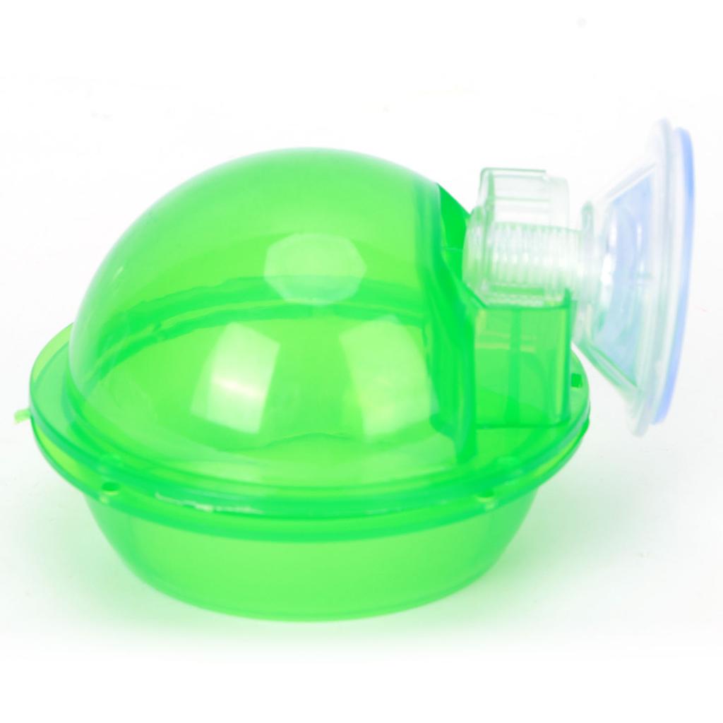 Suction Cup Reptile Feeder Translucent Aquatic Nursery Basin for Amphibian Reptile Tortoise Gecko Snake Lizard