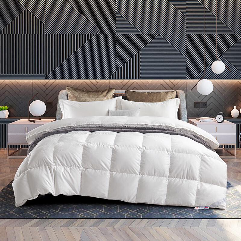 

Tangna Premium Winter Fiber Duvet