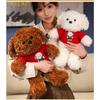 Bear Teddy Stuffed Toy Girl Birthday Gift Cartoon Cute Sweater Dog Figure Action