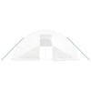 Greenhouse with Steel Frame White 100 m² 20 x 5 x 2.3 m