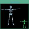 Premium Quality Luminous Hanging Human Skeleton Ideal For Halloween And Party Decor