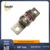 Mingrong RGS19 600V/220A Smart Fast-Acting Fuse Link Brand New