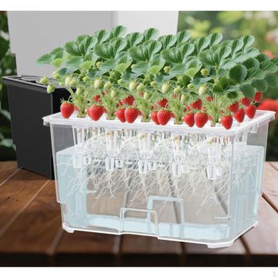 Growing System Kit 15 Holes Lightweight Garden Planting Container Box Grow for Outdoor