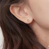 Real 925 Sterling Silver Fashion Zirconia Ear Studs Delicate Flower Stud Earrings For Women Fine Jewelry