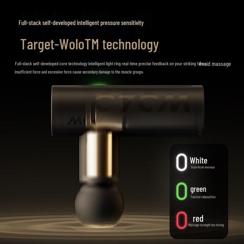 WOLONOW Mini Percussion Massager CN plug (adapter included)