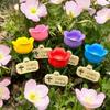 Flower Shape Insect Drinking Cup Colorful Bee Watering Station Watering Cup Garden Decoration  Yard