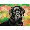 DIY 5D Diamond Painting Full Round Drill Dog Animals Diamond Embroidery Mosaic Rhinestone Picture Cross Stitch Kit Home Decor