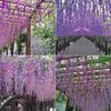 Artificial Plant Accessorie Eternal Violet Flower Wedding Guests Gifts Living Room Decoration Outdoor Hanging Fake Plants