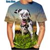 Beautiful Dalmatians 3D Printed T-Shirt Dalmatians Fashion Men Women's Personality Hip Hop Casual T Shirt Male Streetwear Tops