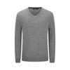 YOUNGOR Men's Washable V-Neck Wool Sweater