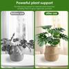 3/24PCS Twig Plant Support Brackets Stackable Green Plants Growth Stakes Detachable Monstera Climbing Stakes for Indoor Outdoor