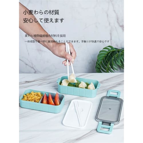 800ml Large Capacity Bento Box, 2-Tier, with Dishware, Dividers, Japanese Style, Antibacterial, Lightweight, Leak-Proof, Microwave and Dishwasher Safe
