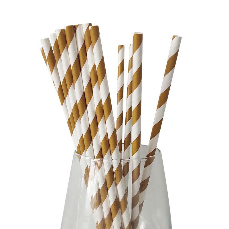 Pabei Colorful Striped Kraft Paper Straws