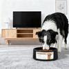 Heated Pet Bowl For Cats And Dogs With Antislip Base Temperature Control Dish For Cold Weather Indoor Outdoor Use