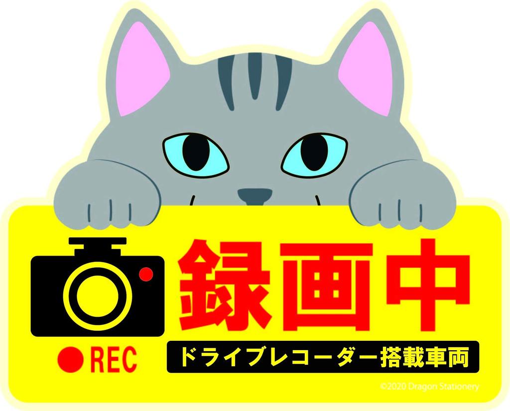 Cute Cat Dash Cam Recording Magnetic Sign Sabatra Cat