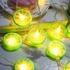 LED String Lights with Colorful Fruit and Lobster Designs, Battery/USB Powered.