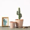 Red Clay Breathable Minimalist Terracotta Flower Pot with Feet for Succulents and Pothos - Round Design, Free Shipping