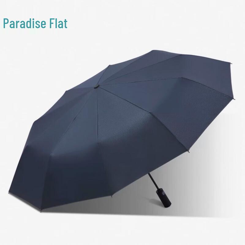 Tiāntáng Fully Automatic Windproof Business Umbrella