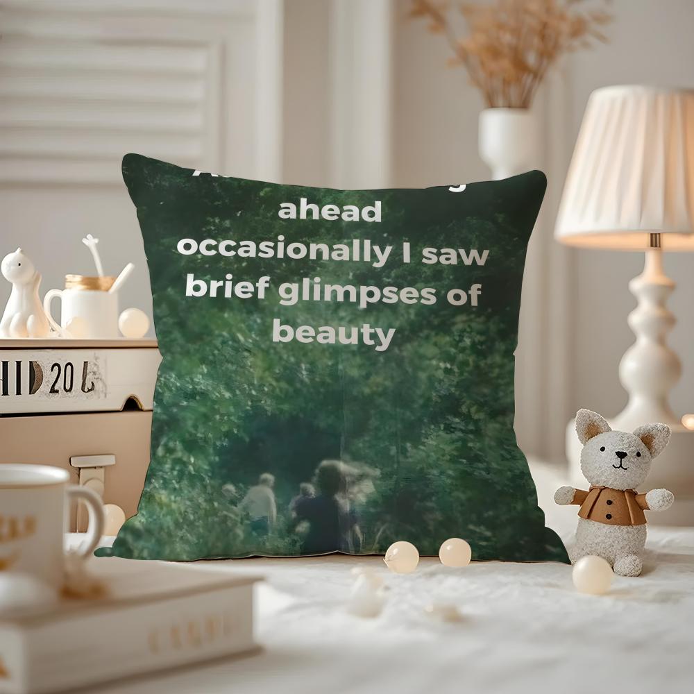 As I Was Moving Ahead Occasionally I Saw Brief Glimpses Of Beauty Cushion Cover Pattern Printed Pillowcase For Living Room Sofa