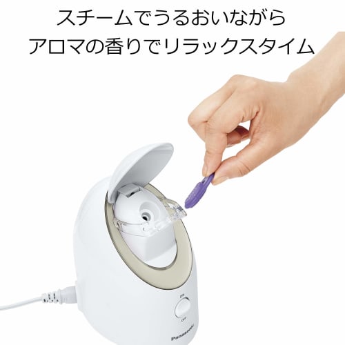Panasonic Steamer Nano Care Compact Type Gold Tone EH-SA3B-N
