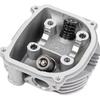 Yibaike Cylinder Head for WS150/DS150/GS150 Motorcycle Engines