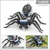 Intricately Plastic Designed Spider Models Including Dynamic Peacock And Striped Flies Available In Various Colors Ideal For Col