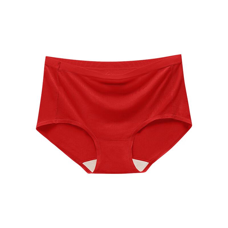 Aimeifen Women's Mulberry Silk Modal High-Waist Briefs (2-Pack)