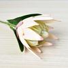 Artificial King Protea Flowers Lifelike Tropical Floral Arrangements Faux Protea Cynaroide with Stem for Wedding Centerpiece Home Office Table Decor