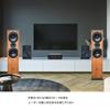 SENWIKATIN Přepínač reproduktorů Volič reproduktorů s terminálem 1 vstup na 2 150 W RMS Stejnosměrný proud na kanál Dvoukanálová krabice, svorky, výstupy,