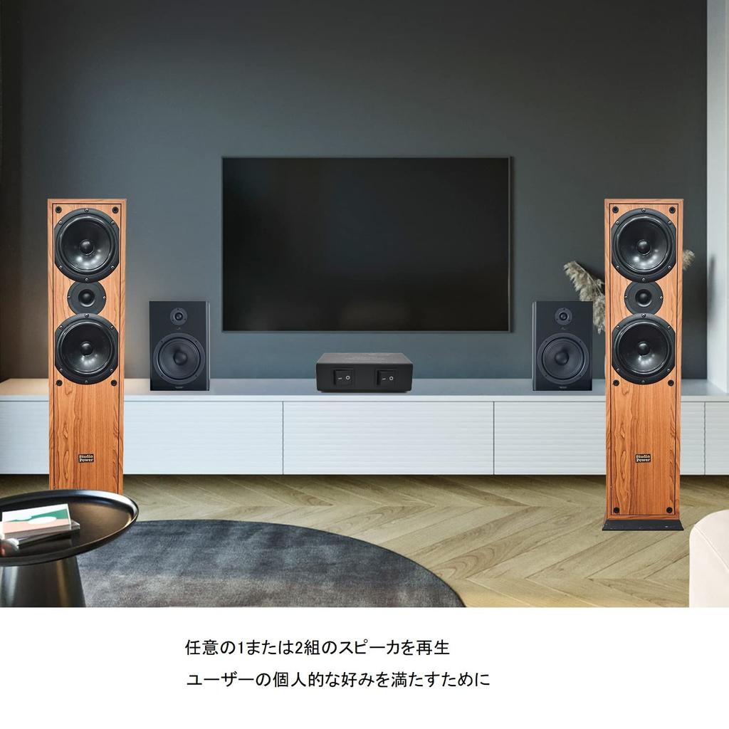 SENWIKATIN Přepínač reproduktorů Volič reproduktorů s terminálem 1 vstup na 2 150 W RMS Stejnosměrný proud na kanál Dvoukanálová krabice, svorky, výstupy,