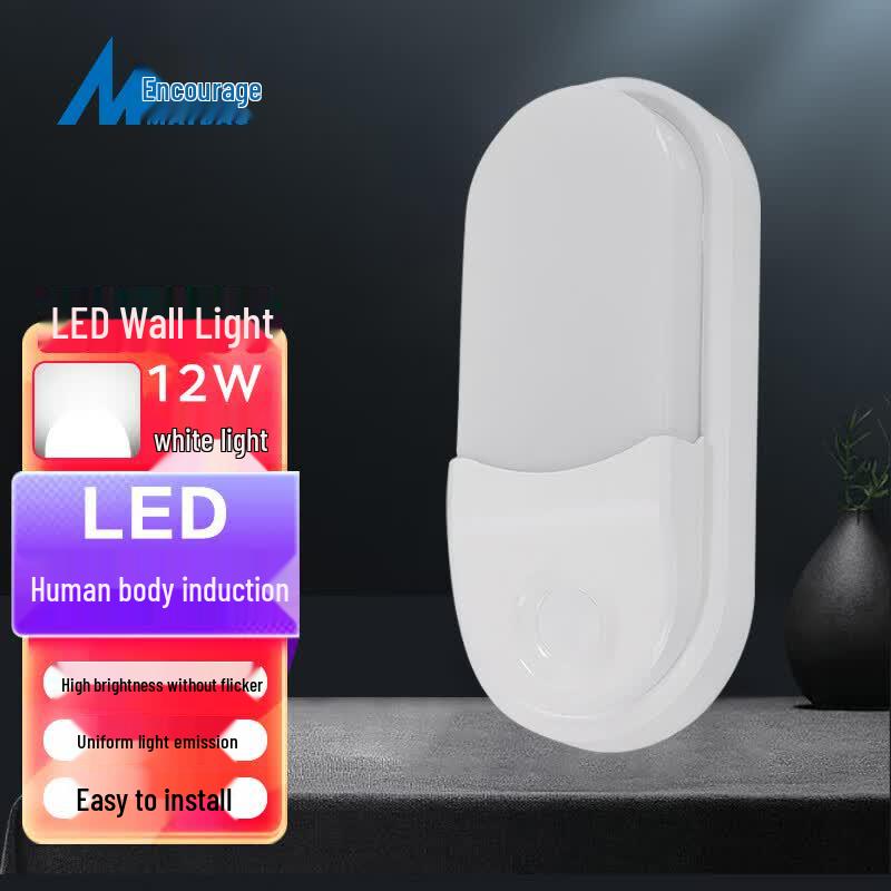 Mao Dao 12W LED Wall Lamp with Motion Sensor