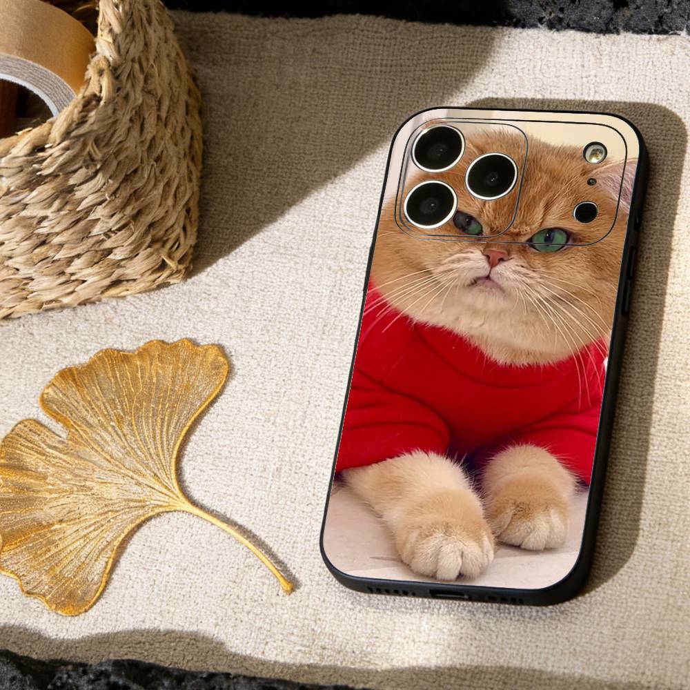 Funny Of Pet Cats  Phone Case For iPhone 17, 16,15,14,13,12,11 X XR Plus,Others Soft Black Cover