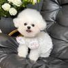 Summer Pet Lace Bubble Sleeve Princess Dress Cute Vest Small Dog Cat Teddy Pet Top Dog Clothes for Small Dogs