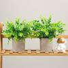 Eukalyptus Künstliche Pflanzen Bonsai Kleiner Baum Topf Kunstpflanze Blumen Topfpflanzen Ornamente Für Zuhause Zimmer Tisch Zellstofftopf Gartendekor