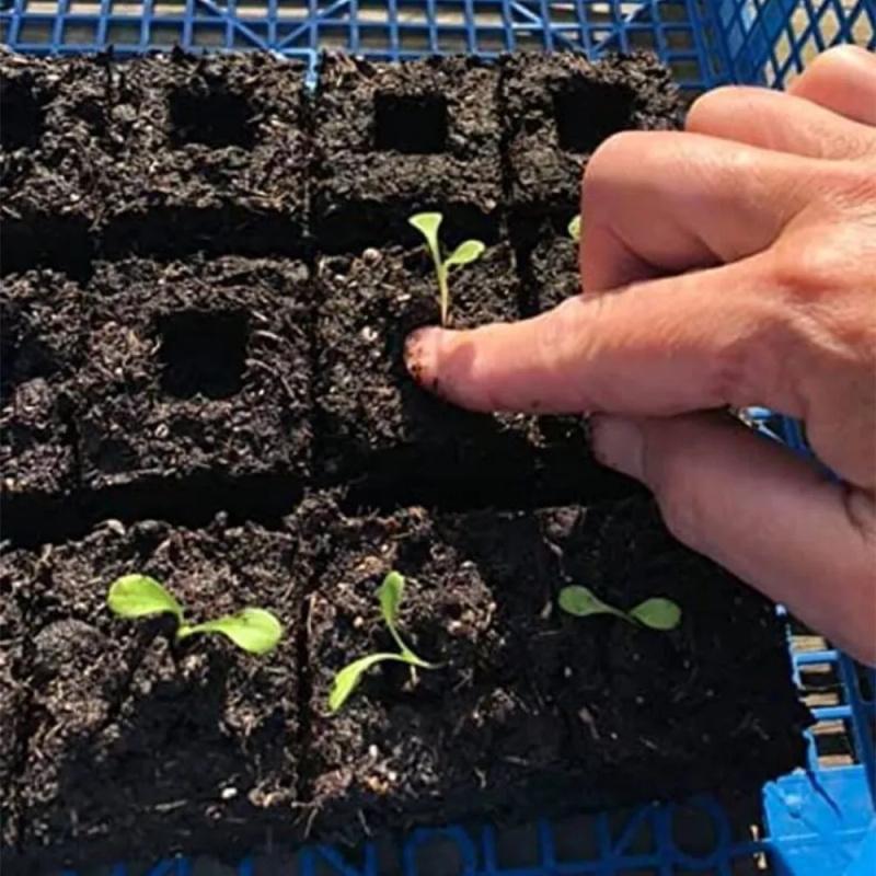 20 Cells Manual Soil Block Maker With Comfortable Grip Soil Blocker New