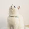 PU Leather Dog Cat Harness Vest and Leash Set Imitation Diamond Pet Harness Puppy Small Dog Cat Harness Pet Supplies