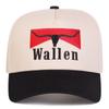 Unisex WALLEN Letter Embroidery Baseball Caps Spring and Autumn Outdoor Adjustable Casual Hats Sunscreen Hat Sports Cap