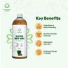 Sampuran Swadeshi Aloe Vera Wheatgrass : Digestive, Immune, & Skin Health, 1L