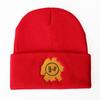 Trendy twenty one polits Band embroidered knitted hat, woolen hat, hip-hop pullover hat