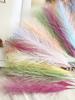 50 Pcs/Pack 20cm Artificial Reed Grass Plant Artificial Feather Phoenix Tail Grass DIY Fake Flower Materials Photography Props Home Wedding Decoration