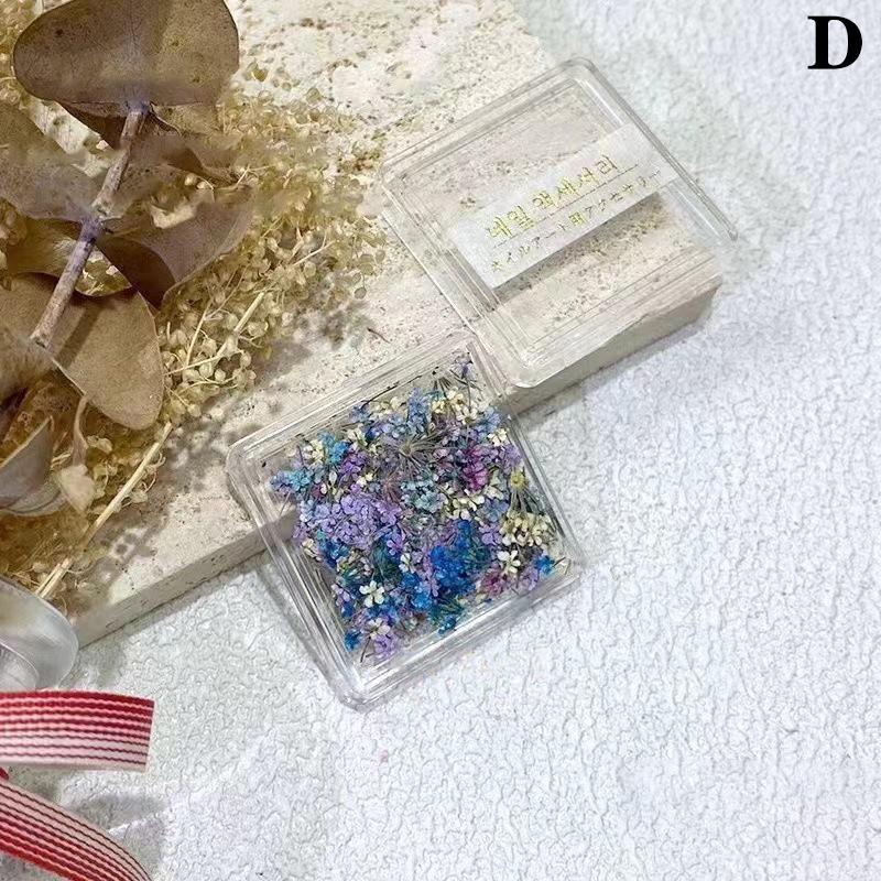 1Box Nail Art Flower Decoration Delicate 3D Dried Flower Nail Art Decorations Exquisite Nail Art Beauty For Charms Accessories