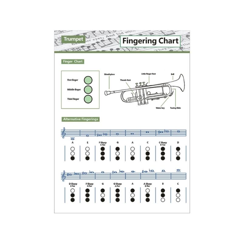 Portable Trumpet Fingering Guide Coated Paper Trumpet Chord Fingering Practice Chart Music Teaching Aid for Student small