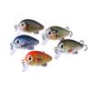 Mikro Köder 1.5G Mini Chubby Köder Set - Künstlicher Fischköder für Angelausrüstung